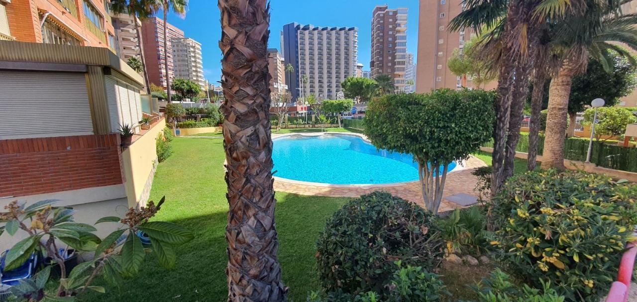Adelfas - Fincas Arena Benidorm Exteriér fotografie